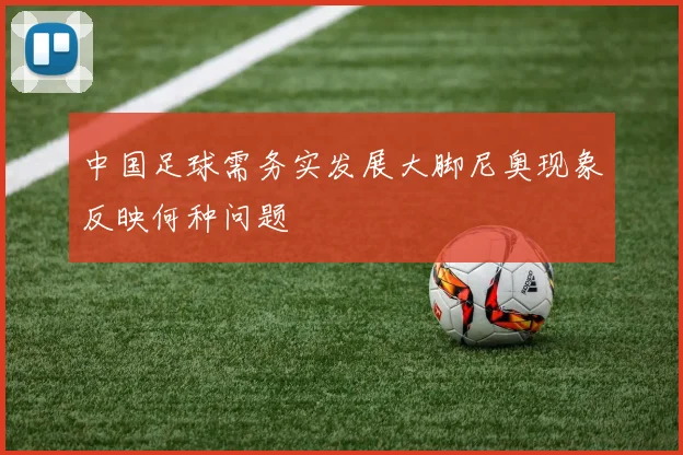 中国足球需务实发展大脚尼奥现象反映何种问题
