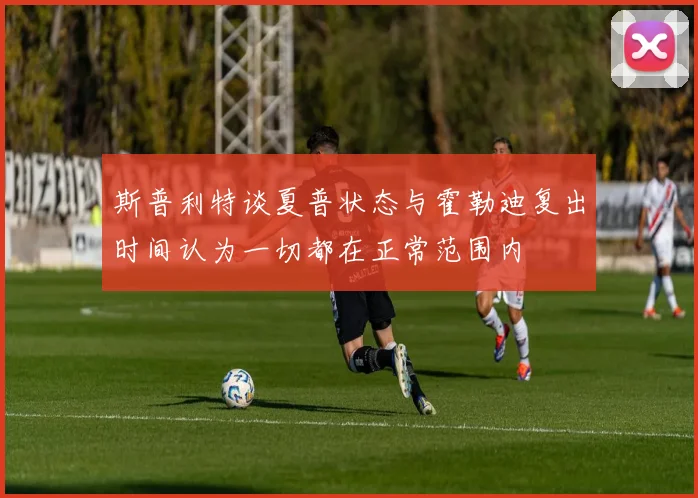 斯普利特谈夏普状态与霍勒迪复出时间认为一切都在正常范围内