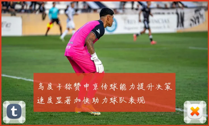 乌度卡称赞申京传球能力提升决策速度显著加快助力球队表现