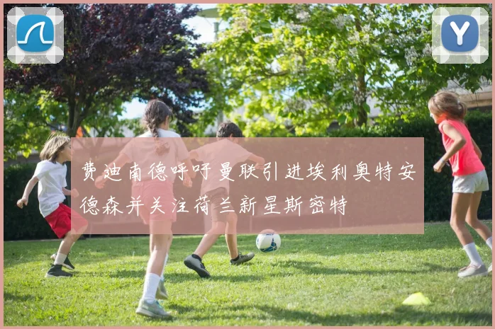 费迪南德呼吁曼联引进埃利奥特安德森并关注荷兰新星斯密特