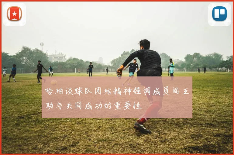 哈珀谈球队团结精神强调成员间互助与共同成功的重要性