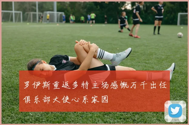 罗伊斯重返多特主场感慨万千出任俱乐部大使心系家园