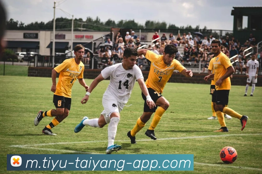 多媒体互动体验